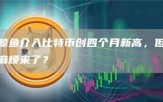 鲸鱼介入比特币创四个月新高，但麻烦来了？