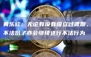 黄乐欣：无论有没有设立过渡期，不法份子亦会继续进行不法行为